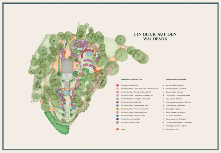 Ein kunstvoll illustrierter Lageplan zeigt die vielfältigen Bereiche des Parks mit Wegen, Baumgruppen und unterschiedlich gestalteten Pflanzungen. Farbige Markierungen und eine detaillierte Legende ergänzen die sorgfältige Darstellung und verleihen ihr den Charakter einer klassischen landschaftsarchitektonischen Übersicht.